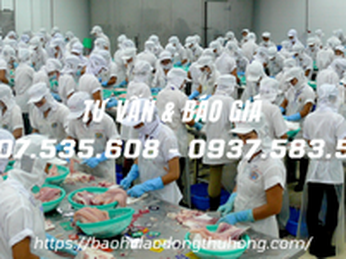 Nhà cung cấp mũ thủy sản màu trắng giá sỉ rẻ tại TPHCM