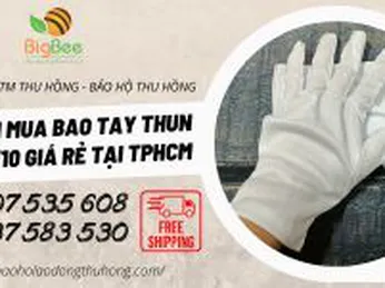 Gợi ý nơi mua bao tay thun T10 giá rẻ