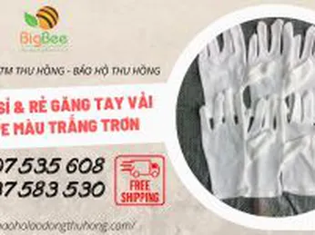 Bán giá sỉ và rẻ găng tay vải thun PE