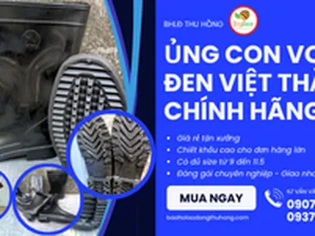 Ủng con voi đen Việt Thắng giá sỉ rẻ bỏ sỉ hàng chính hãng