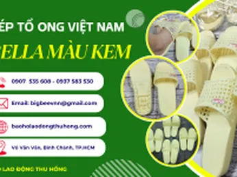 Sỉ dép tổ ong Bella màu kem giá rẻ sản xuất trực tiếp TPHCM