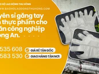 Găng tay nilon thực phẩm giá sỉ cho bếp ăn công nghiệp tại Long An