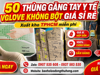50 thùng găng tay y tế Vglove không bột giá sỉ rẻ xuất tại kho TPHCM