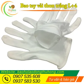 BAO TAY VẢI THUN L+4 TRẮNG