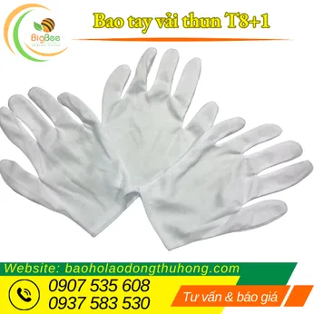 BAO TAY VẢI THUN T8+1 TRẮNG