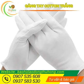 GĂNG TAY COTTON TRẮNG