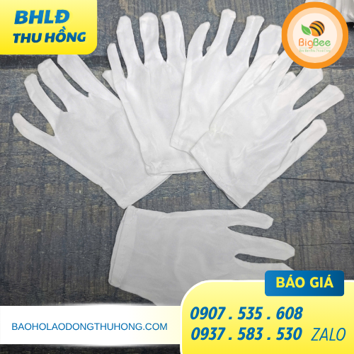 Tìm xưởng sỉ găng tay thun trắng mỏng giá tốt TPHCM Tìm xưởng sỉ găng tay thun trắng mỏng giá tốt TPHCM