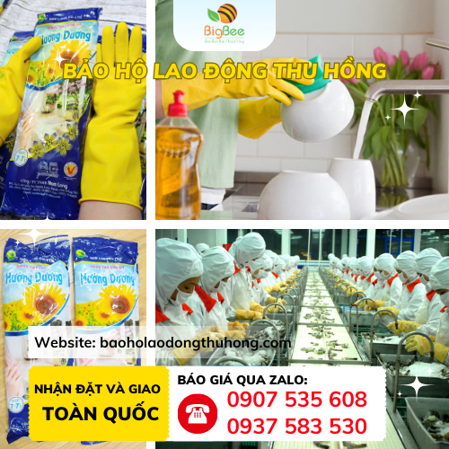 Găng tay cao su gia dụng Hướng Dương Ứng dụng của găng tay cao su gia dụng Hướng Dương