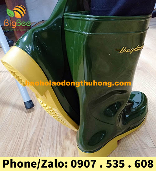 ủng màu rêu thùy dương có cấu tạo như thế nào?