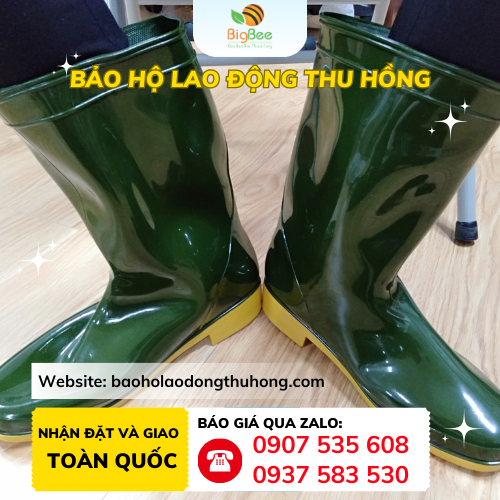 Ủng nhựa Thùy Dương xanh rêu size từ 38 đến 44 Ủng nhựa Thùy Dương xanh rêu size từ 38 đến 44