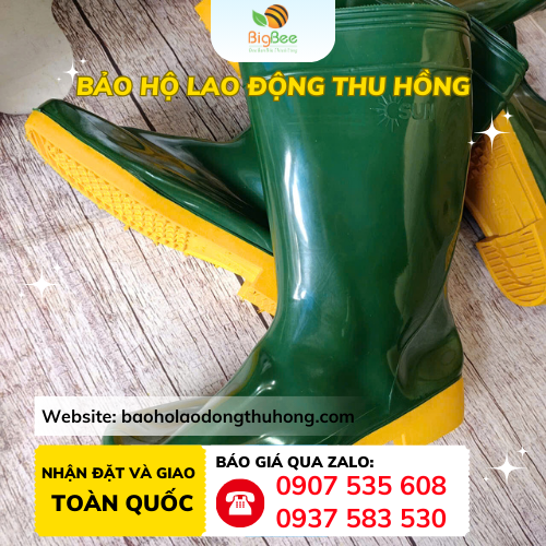 Ủng Sun xanh rêu Ủng Sun xanh rêu đi thuỷ sản