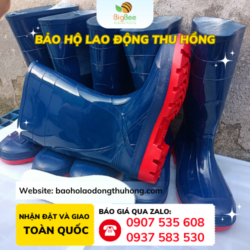 Ủng Thùy Dương mũi thép chống dập ngón chính hãng