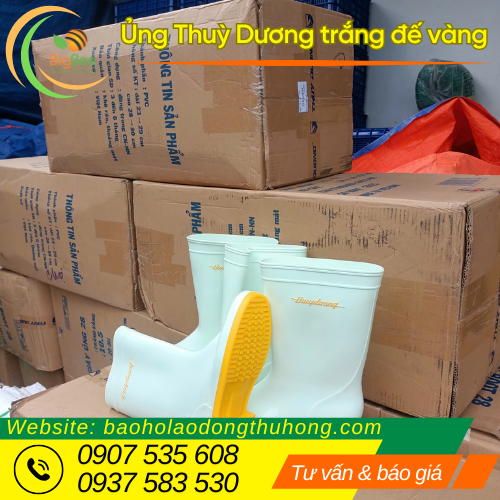 Ủng Thuỳ Dương trắng đế vàng sẵn hàng tại kho Ủng Thuỳ Dương trắng đế vàng sẵn hàng tại kho