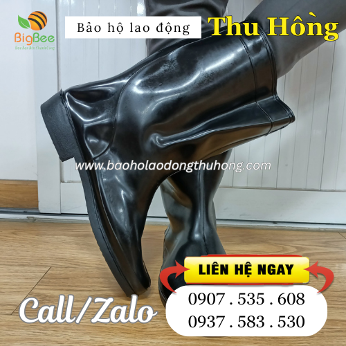 Ủng voi đen nam Ủng voi đen nam