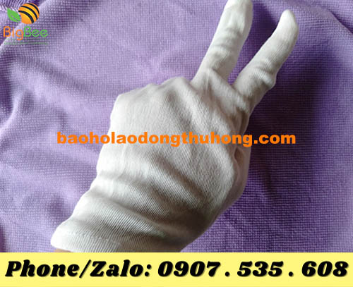 vì sao găng tay vải trắng PE thích hợp dùng trong hội nghị, event