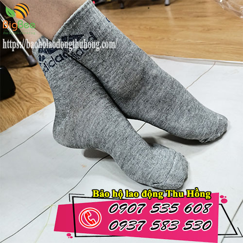 vớ cổ ngắn cotton giá rẻ