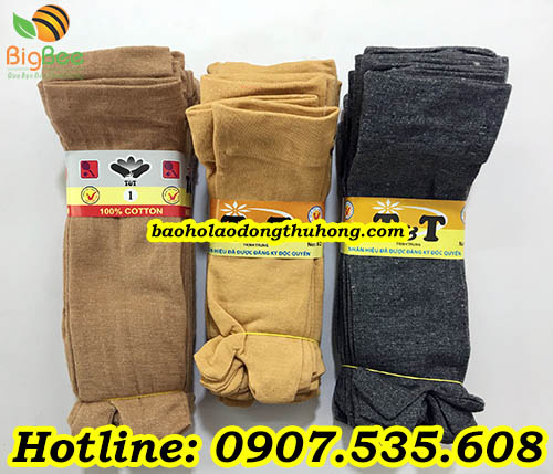 vớ cotton xỏ ngón size nữ giá sỉ rẻ, chiết khấu cao tại TPHCM