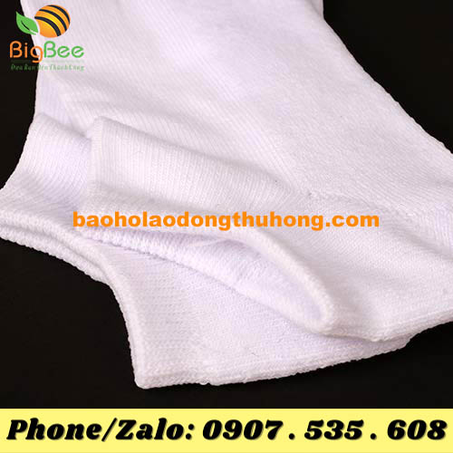 vớ trơn trắng chất liệu thun cotton