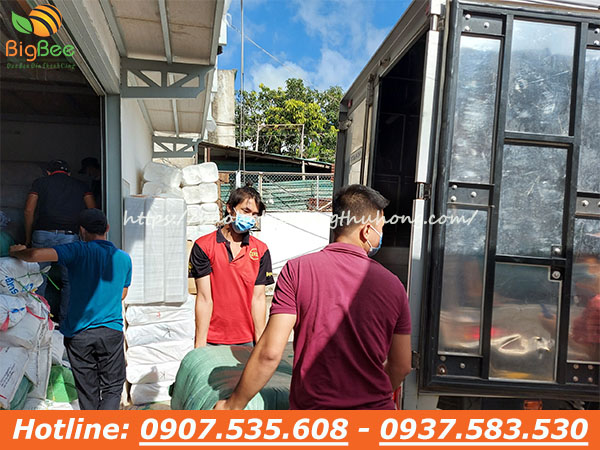 Xuất kho 20 ngàn đôi găng tay vải thun trắng 01