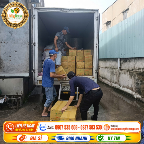 xuất kho găng tay y tế Vietglove ezcare mỗi ngày Xuất kho vài chục thùng găng tay y tế Vietglove Ezcare