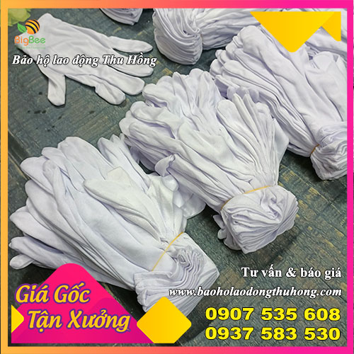 Xưởng sỉ rẻ găng tay vải thun trắng T10 Xưởng sỉ rẻ găng tay vải thun trắng T10