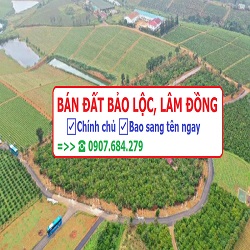 Bán đất Bảo Lộc chính chủ Bán đất Bảo Lộc chính chủ