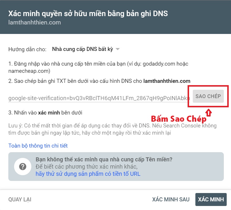 Hướng dẫn cách trỏ (gắn) tên miền về google site | Ảnh 4 Hướng dẫn cách trỏ (gắn) tên miền về google site | Ảnh 4