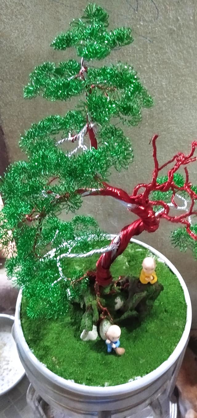 Kinh doanh tết 2021 với cây kiểng bông sai Kinh doanh tết 2021 với cây kiểng bông sai