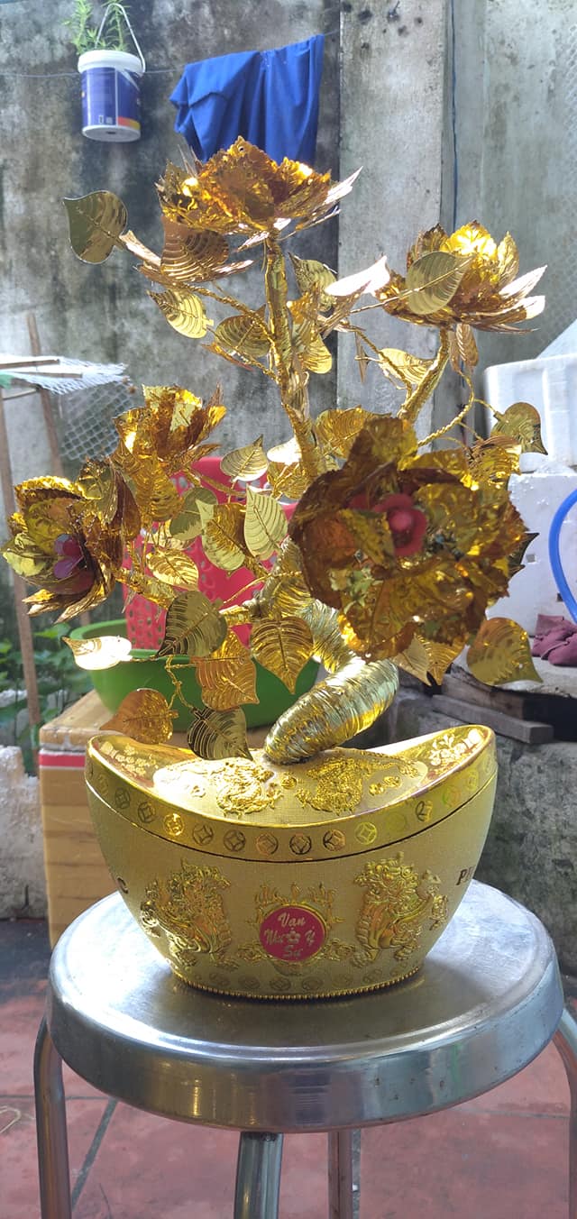 Kinh doanh tết 2021 với cây đồng tiền đẹp Kinh doanh tết 2021 với cây đồng tiền đẹp