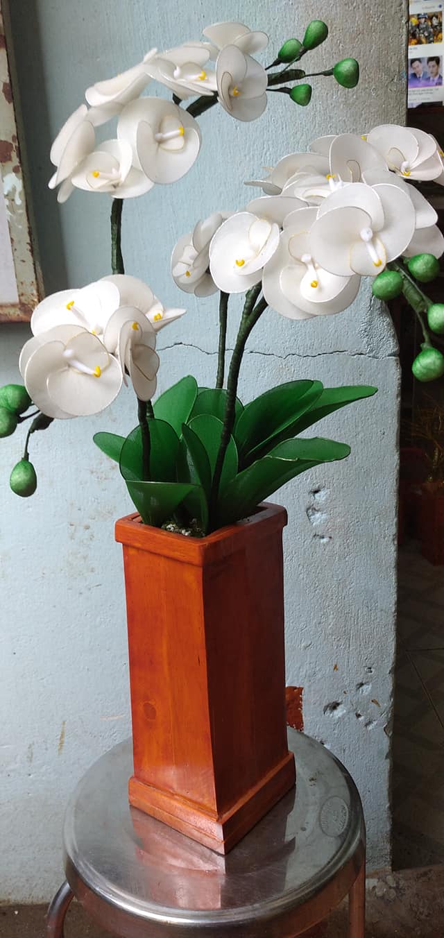 Nguồn hàng sỉ cây kiểng đẹp để kinh doanh tết 2021 Nguồn hàng sỉ cây kiểng đẹp để kinh doanh tết 2021