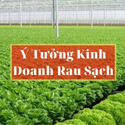 ☑️Ý tưởng khởi nghiệp trồng rau sạch, thực phẩm sạch ➸ Ý tưởng khởi nghiệp của xu hướng ★
