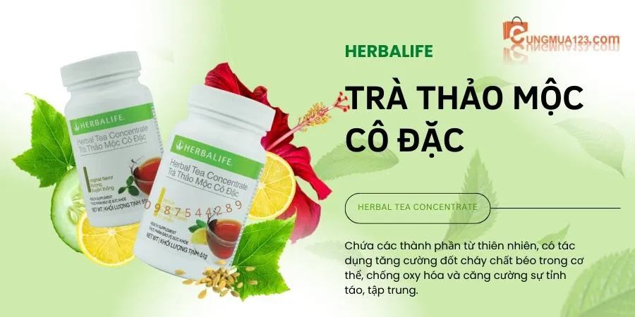 Điều gì làm nên ưu thế của trà Herbalife so với các loại trà giảm cân trên thị trường