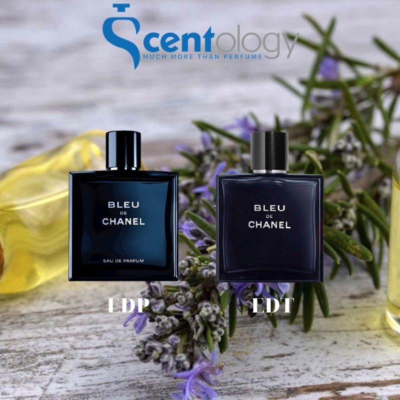 Bleu de Chanel EDT vs EDP  Which one should you get  YouTube