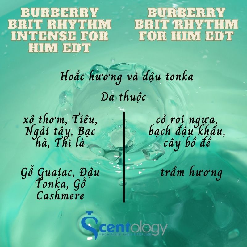 So sánh Burberry Brit Rhythm Intense For Him EDT và Burberry Brit Rhythm  For Him EDT