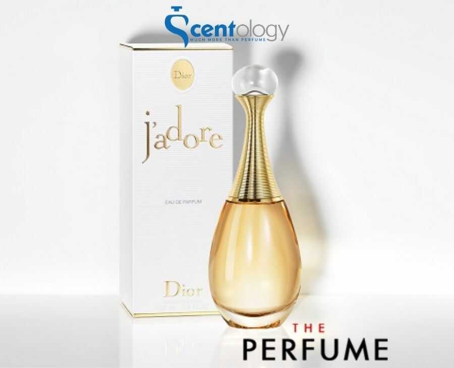 BRAND NEW Christian Dior Les Parfums de LAvenue Montaigne 5 Piece Set  Beauty  Personal Care Face Face Care on Carousell