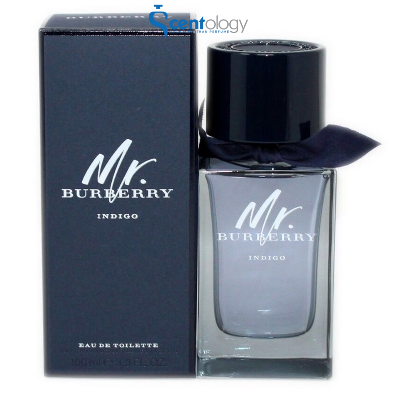 NƯỚC HOA NAM BURBERRY MR. BURBERRY INDIGO EDT 