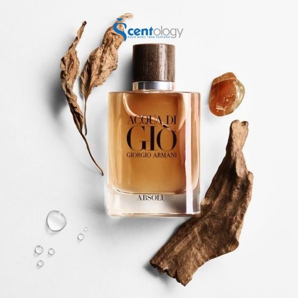 NƯỚC HOA NAM GIORGIO ARMANI ACQUA DI GIO ABSOLU EDP