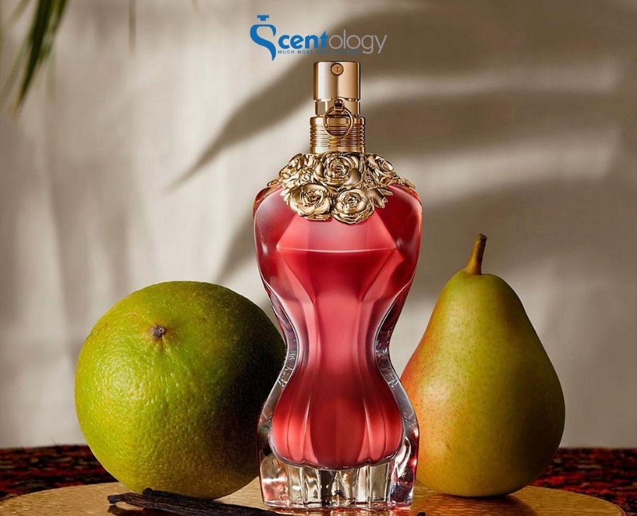 Top 6 nước hoa Jean Paul Gaultier dành cho nữ - sức mạnh của sự quyến rũ Top 6 Nước Hoa Jean Paul Gaultier Dành Cho Nữ - Sức Mạnh Của Sự Quyến Rũ