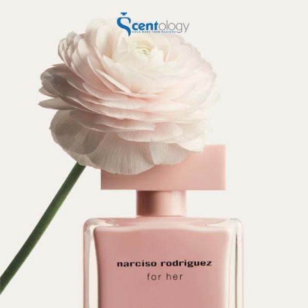 NƯỚC HOA NỮ NARCISO RODRIGUEZ FOR HER EDP | SCENTOLOGY.VN