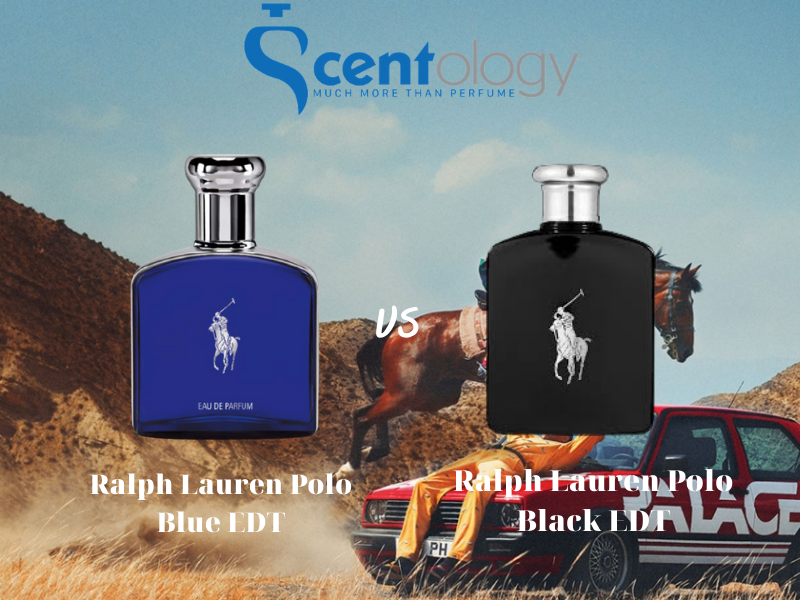 So sánh Ralph Lauren Polo Blue EDT và Ralph Lauren Polo Black EDT - sự khác  biệt