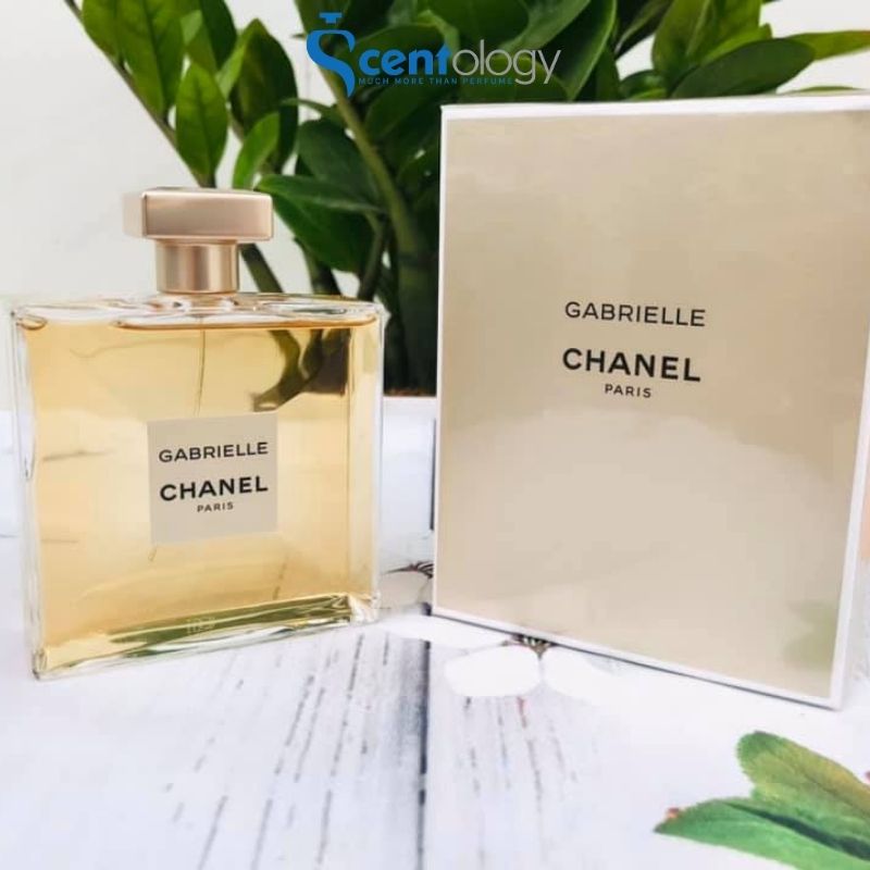 Gabrielle Parfum Chanel perfume  a new fragrance for women 2022