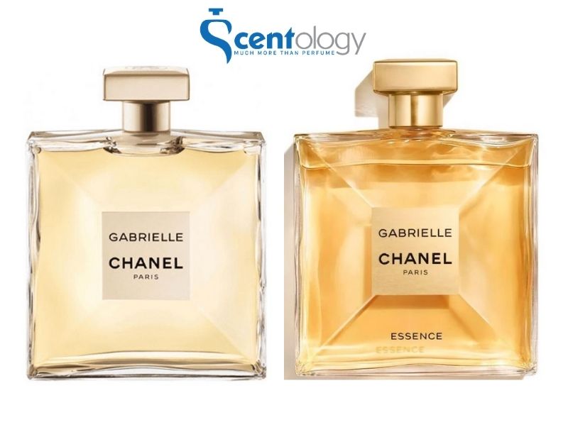 Comparative Review of Gabrielle Chanel Parfum the Original and Essence   Fragrance Reviews