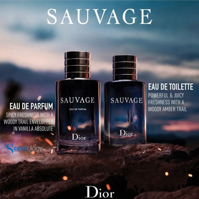 Dior Sauvage 100ml Chemist Warehouse Online  azccomco 1691720293
