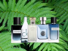 TOP 5 NƯỚC HOA DƯƠNG XỈ DÀNH CHO NAM - MỘC MẠC VÀ TƯƠI MÁT