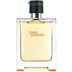 NƯỚC HOA NAM HERMES TERRE D’HERMES EDT