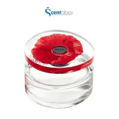 NƯỚC HOA NỮ KENZO FLOWER IN THE AIR EDP