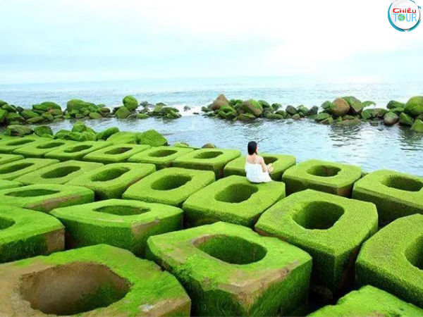 Kè chắn sóng Xóm Rớ tại Phú Yên