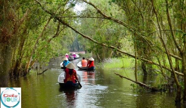 Du khách đi xuồng xuyên qua rạch rừng