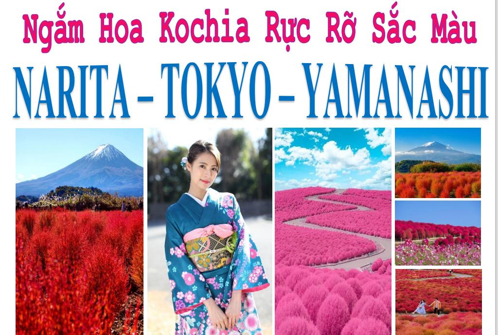 tour-nhat-ban-narita-tokyo-nui-phu-si-yamanashi-tu-tp.hcm.jpg
