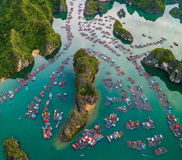 Làng Chài Cái Bèo